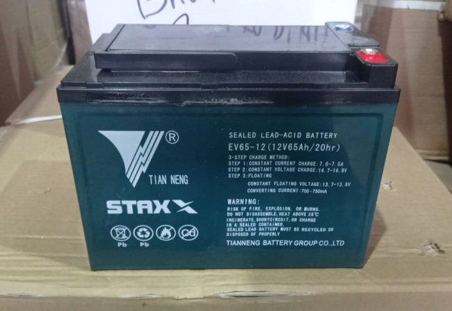 Аккумулятор для тележек TOR WPT15-2 12V/65Ah гелевый (Gel battery) арт.1002565