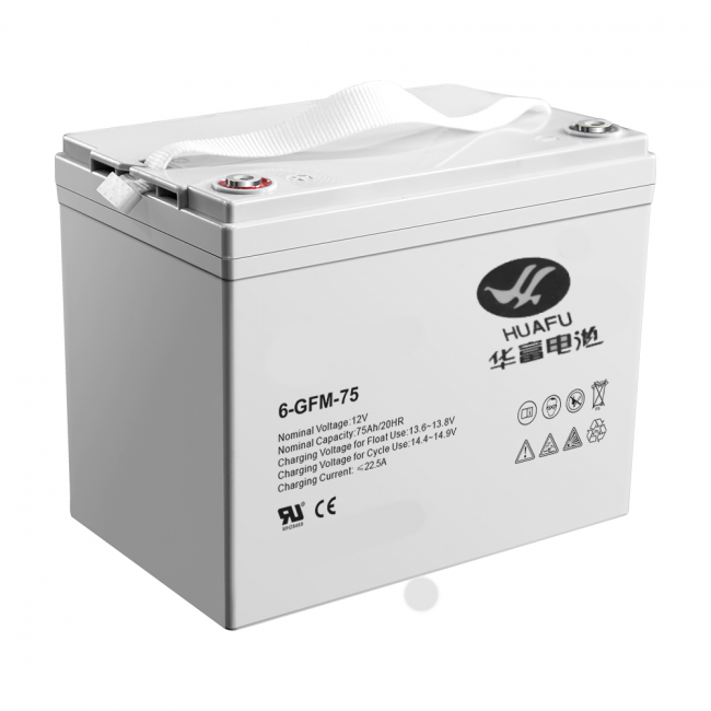 Аккумулятор для штабелёров TOR IWS/PWS/WS 12V/75Ah гелевый (Gel battery) арт.1002953