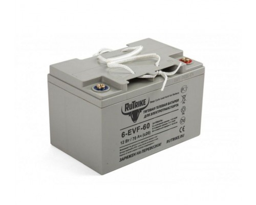 Аккумулятор для штабелёров  TOR IWS/WS/CDD10R-E/CDD12R-E/CDD15R-E 12V/100Ah (Gel battery ) арт.1019639
