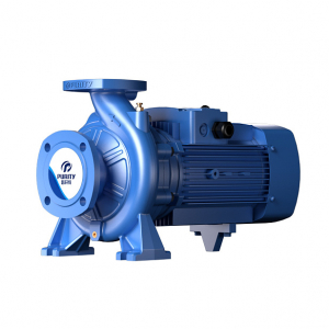 Консольно-моноблочный фланцевый насос PURITY PSTG 65-160/110 (N) арт.100602809