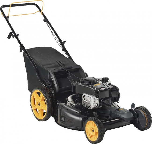 parton pa625y22rhp web.jpg parton pa625y22rhp web.jpg