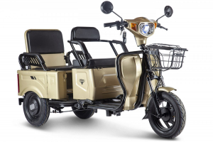 Трицикл Rutrike Вагон арт. 022662