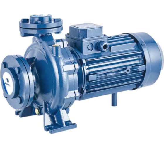 Консольно-моноблочный фланцевый насос PURITY PSTC 65-125/55 (N) арт.100588149