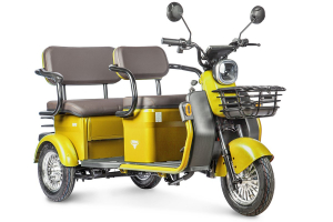 Трицикл Rutrike Топик арт.023258