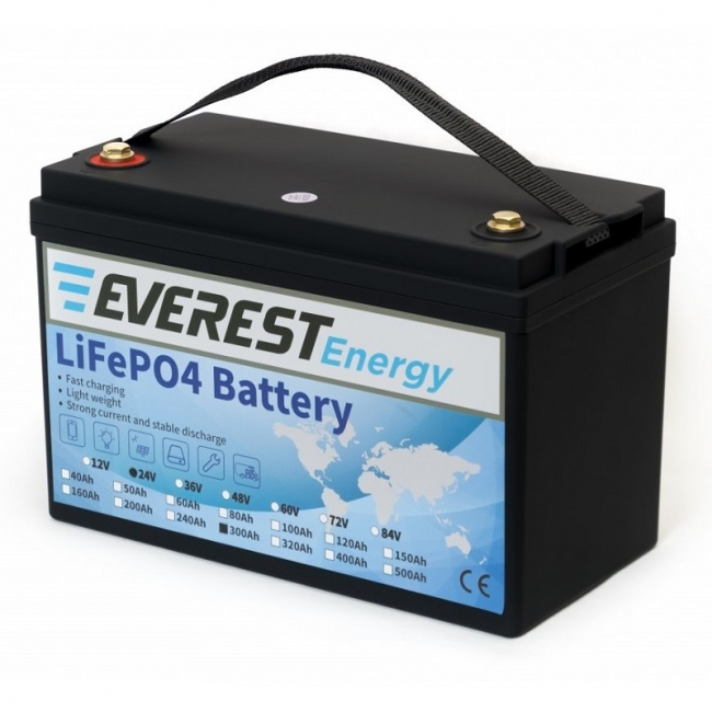 Тяговый литиевый аккумулятор Everest Energy LFP-24V300Аh арт.LFP-24V300Аh Тяговый литиевый аккумулятор Everest Energy LFP-24V300Аh арт.LFP-24V300Аh