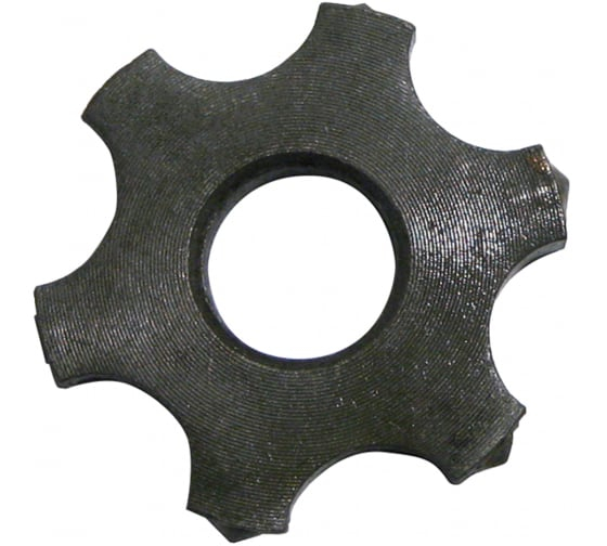 51205559.jpg
