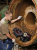 Система видеодиагностики Ridgid SeeSnake nanoReel N85S с камерой CA-300 PAL