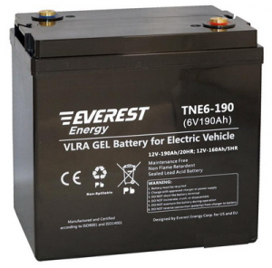 Аккумулятор тяговый EVEREST Energy TNE 6-190 арт.TNE 6-190 